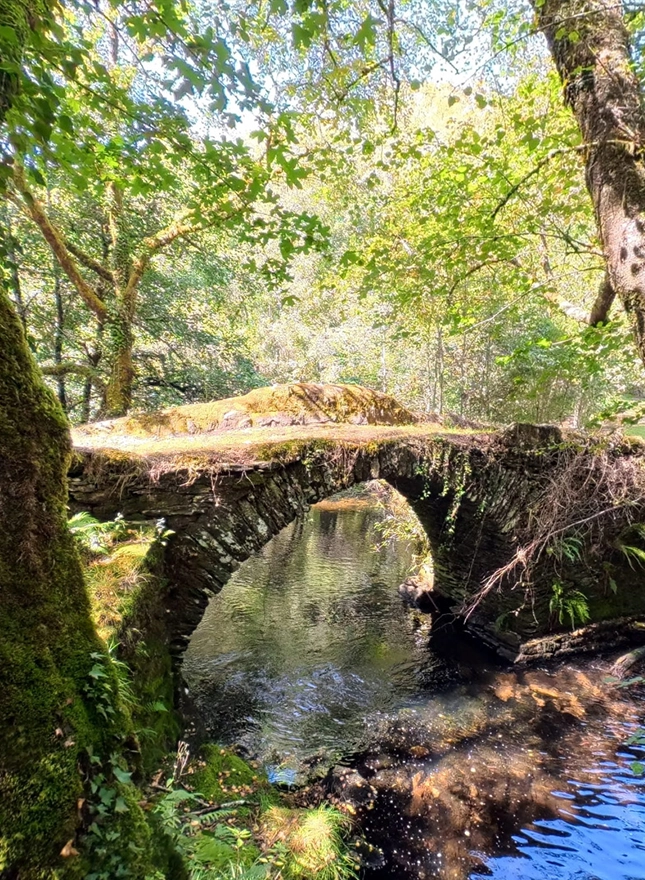 Camino de Santiago y rutas hist&oacute;ricas