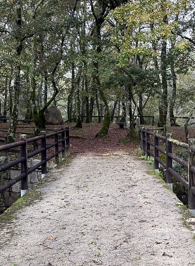 Naturaleza y paisajes