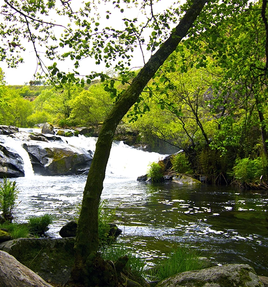 Torrentes de Ramil