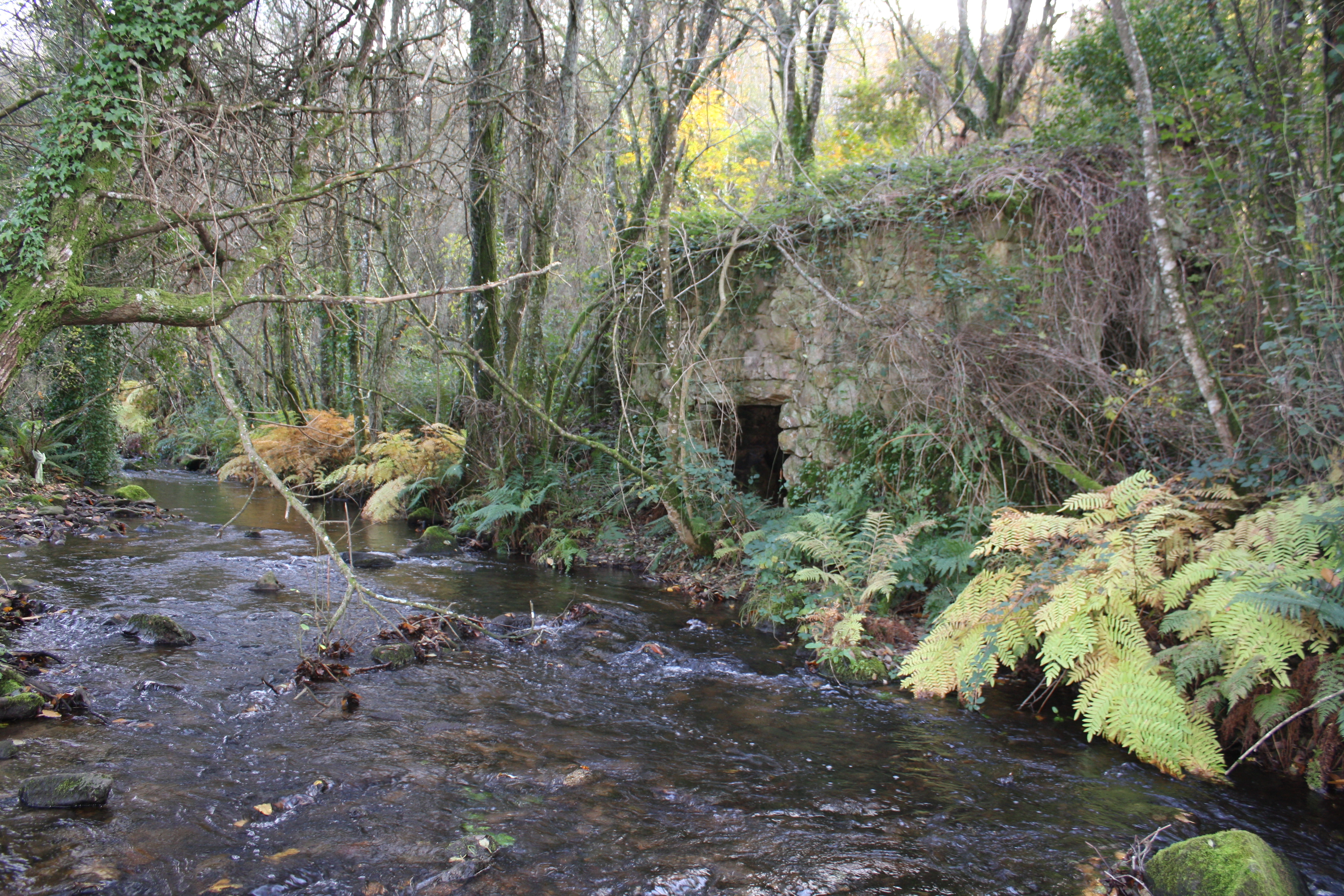 Molinos da Eirexe