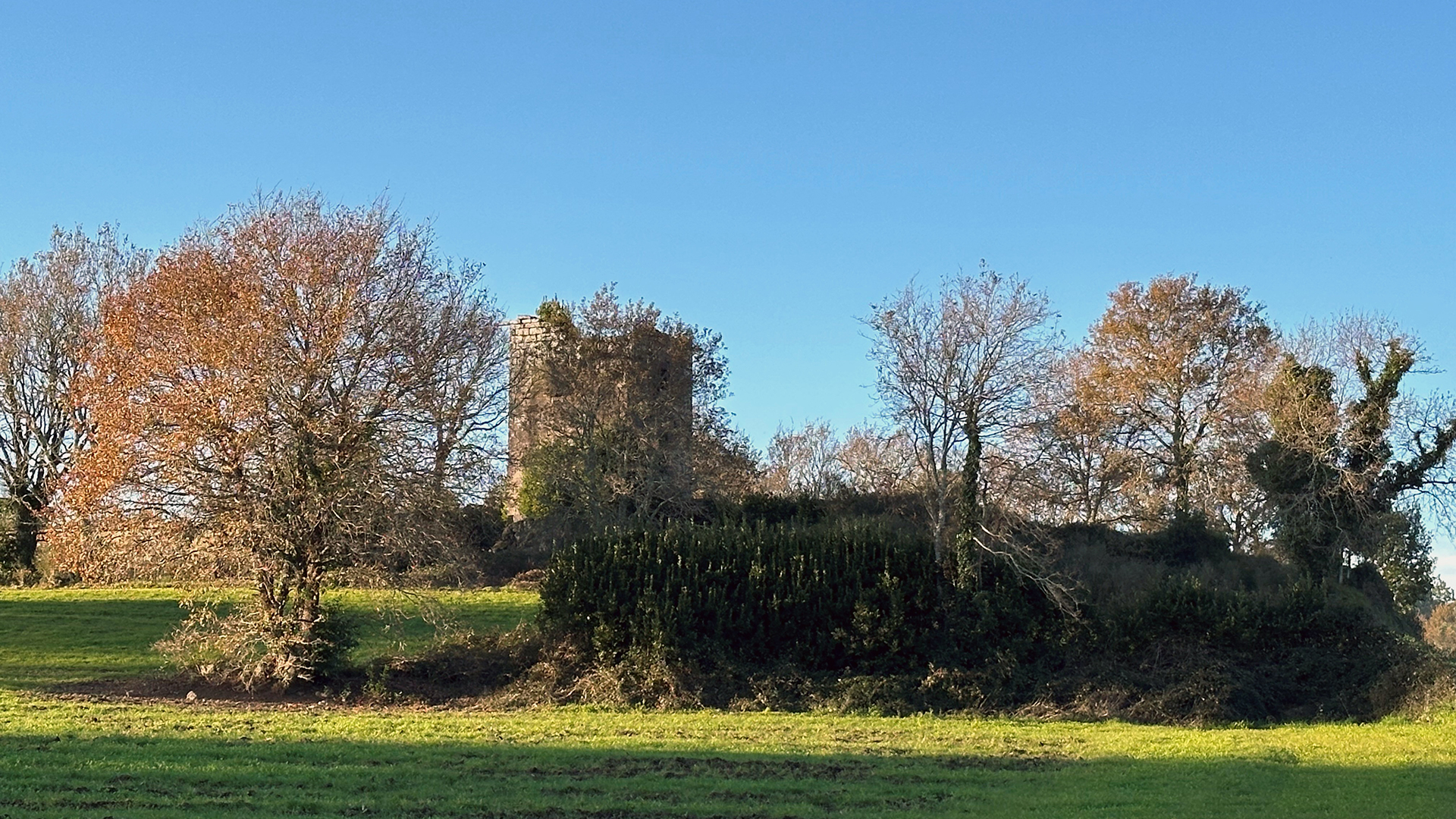 Torre y pazo de Guimarei