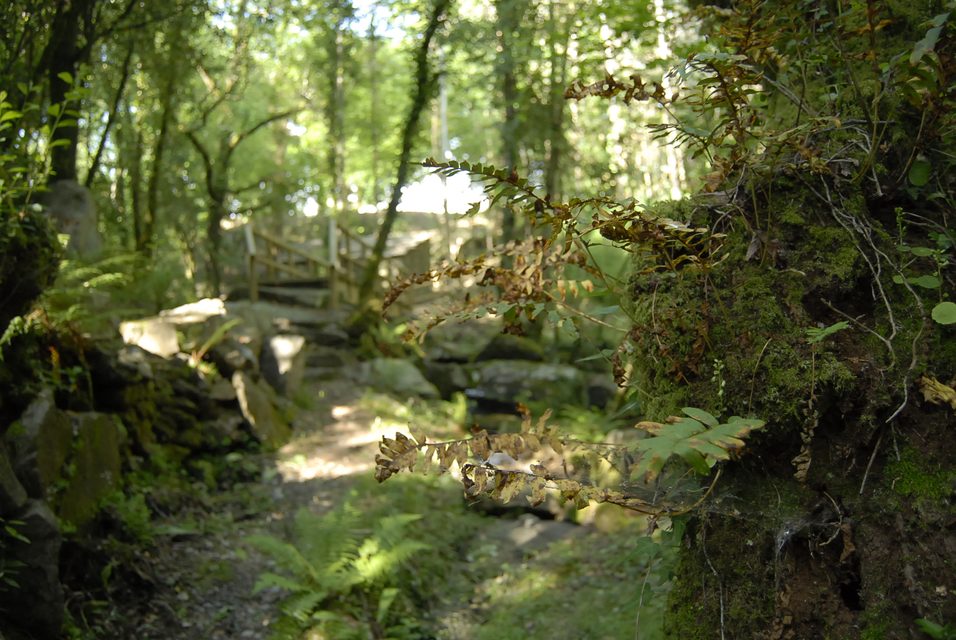 Serra de Mestre e mui&ntilde;os de Vesacarballa
