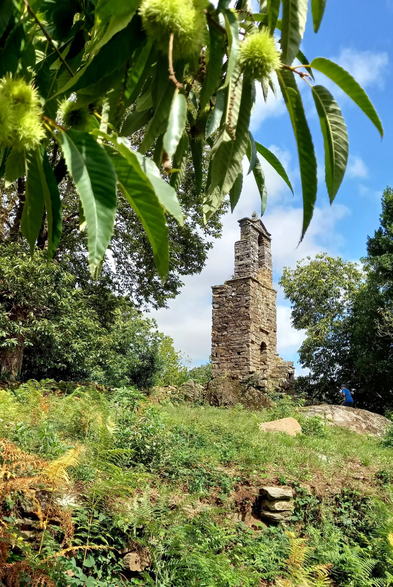 Torre de alarma de Barciela