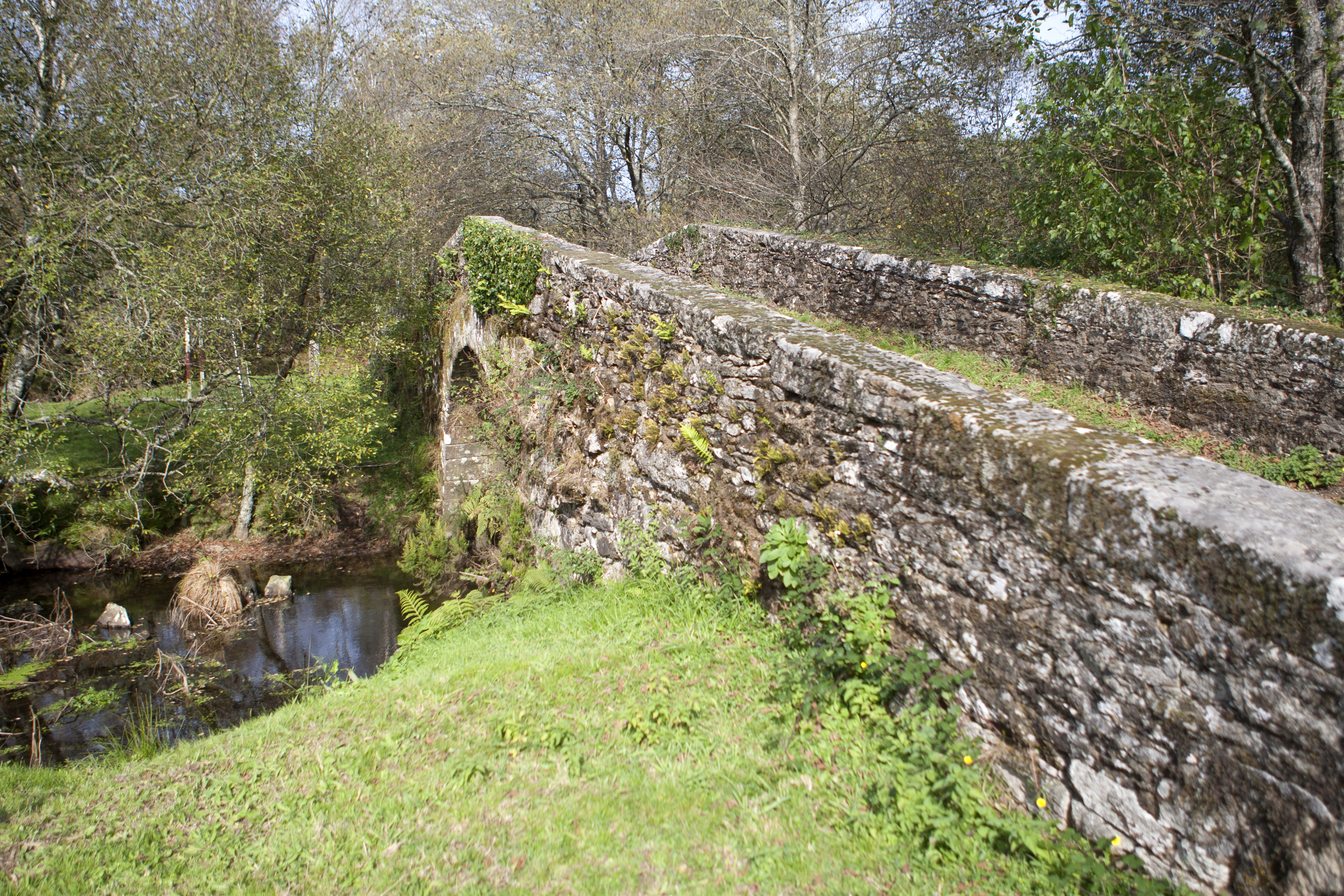 Ponte vella de And&oacute;n