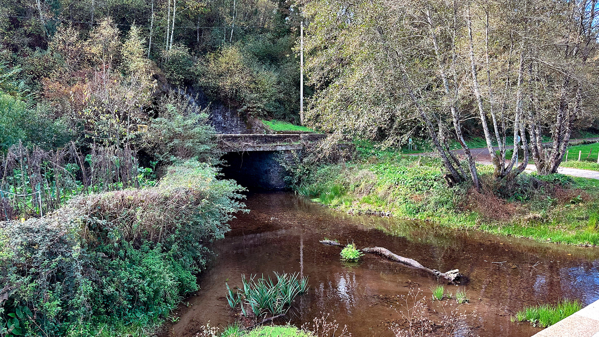 R&iacute;o Asneiro