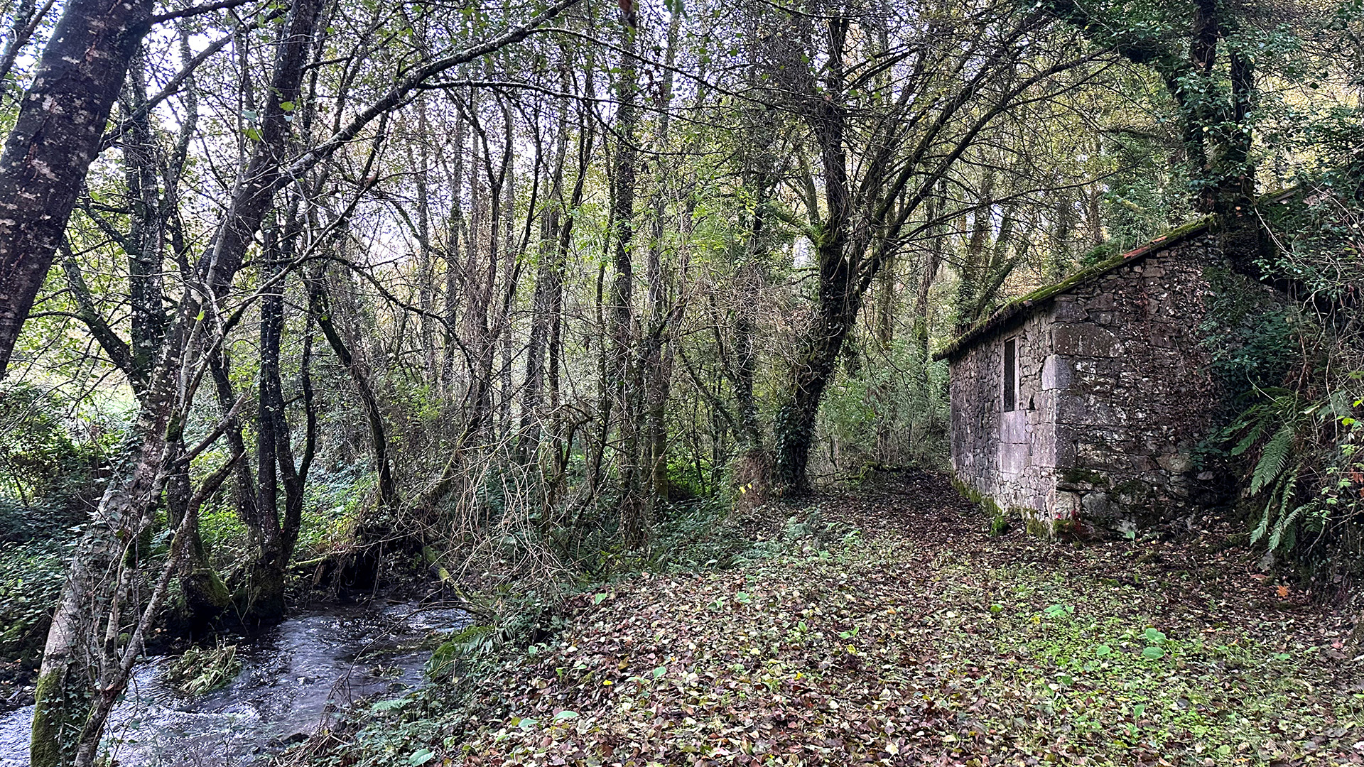 Molino del r&iacute;o Rodeiro