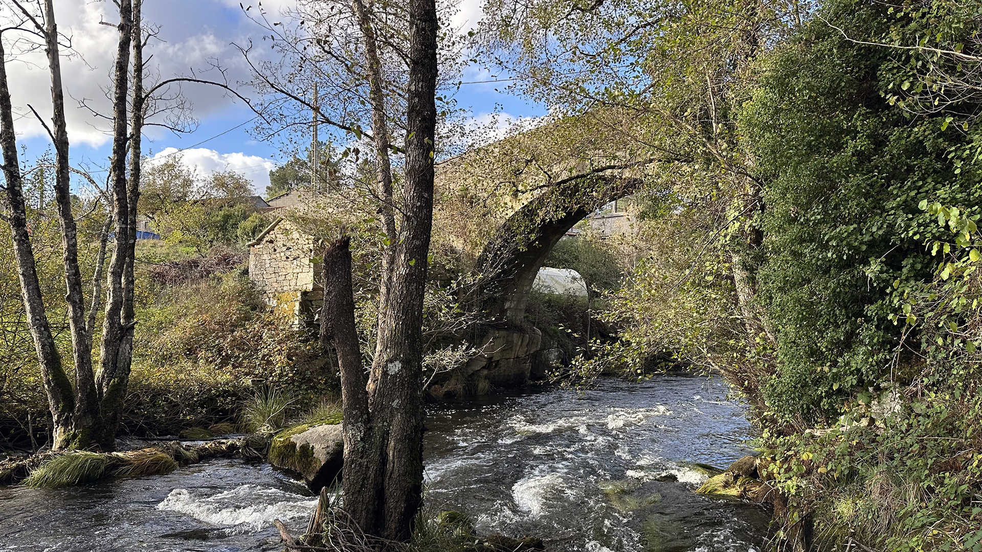 Puente medieval de Pedroso