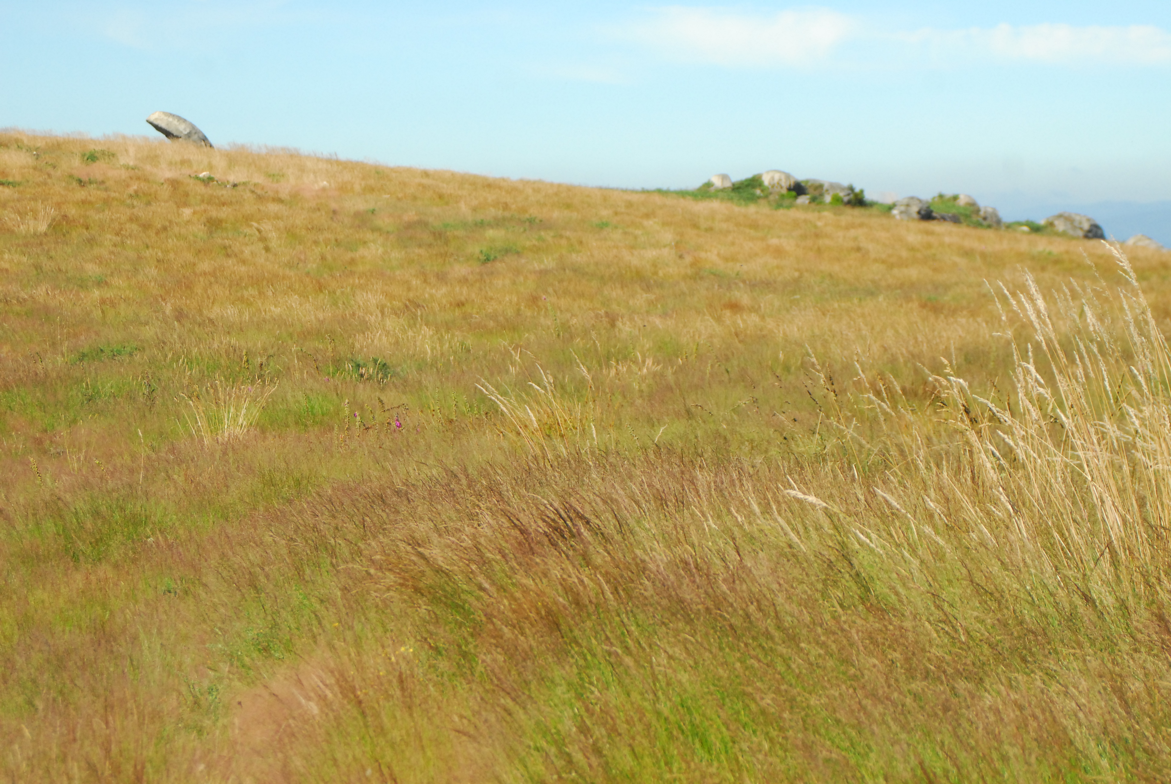 Serra do Faro