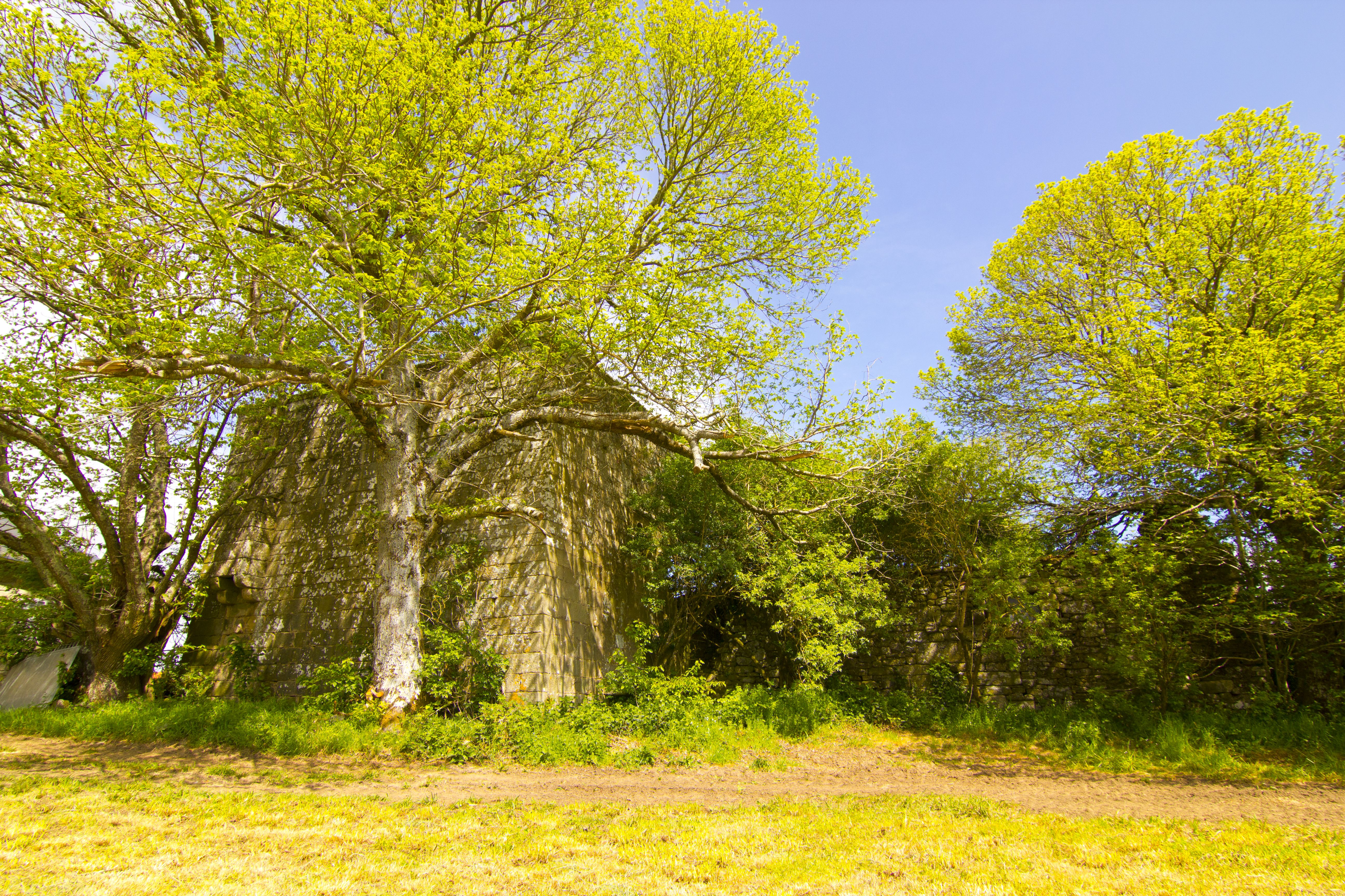Tulla de Fafi&aacute;n