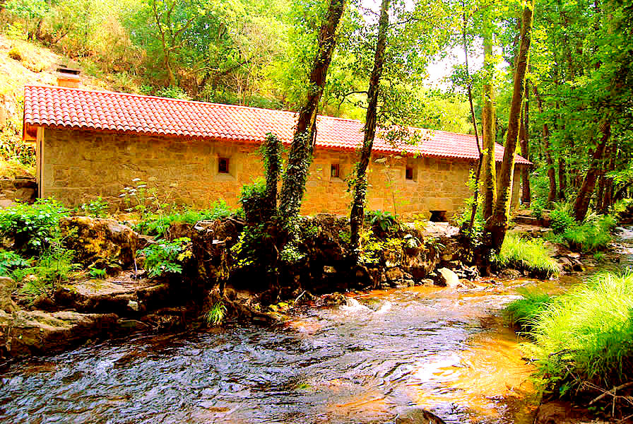 Molino de Covi&aacute;n