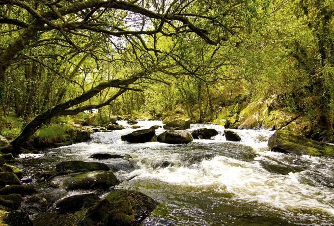Torrentes de Ramil 0