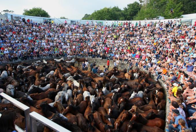 Rapa das Bestas de Sabucedo 0