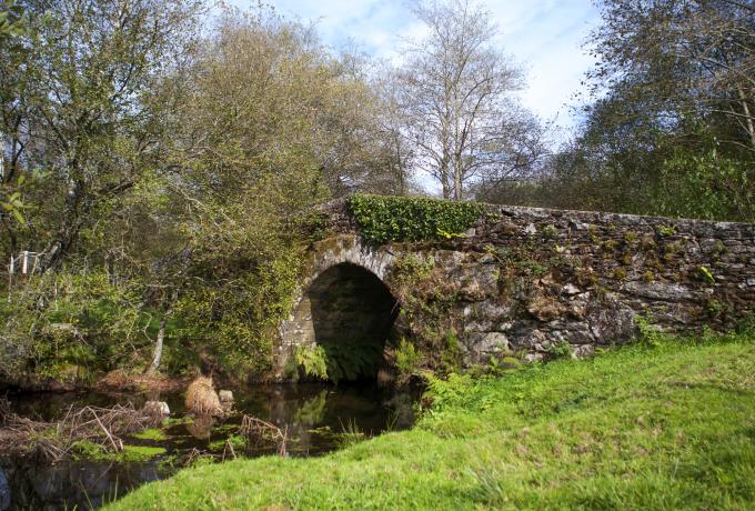 Ponte vella de And&oacute;n 0