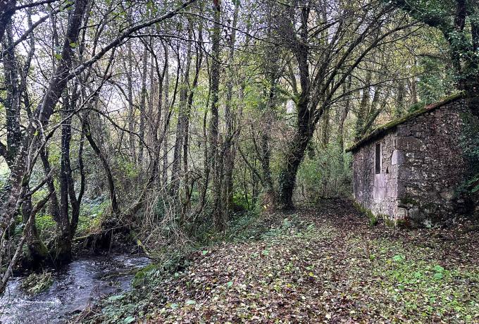 Molino del r&iacute;o Rodeiro 0