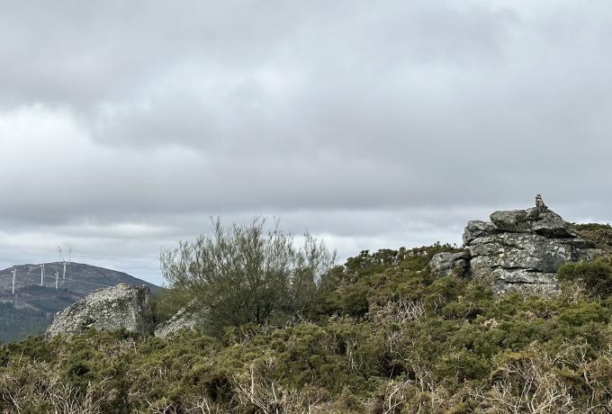 Castro de Pena Grande 0