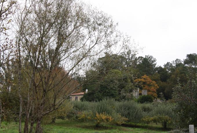 Pazo de Paiz&aacute;s 0