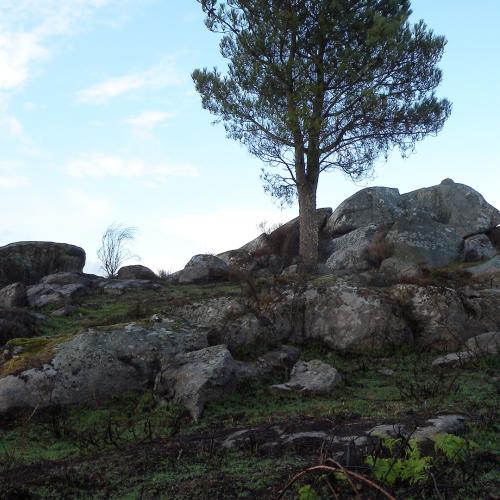 Castro de Marcel&iacute;n 1
