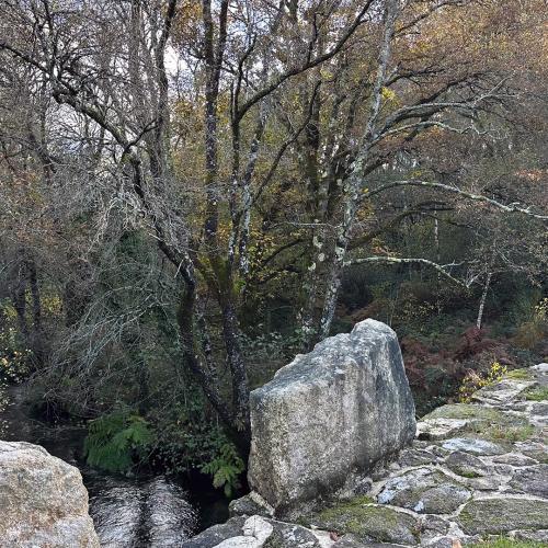 Ponte dos Cabalos 10
