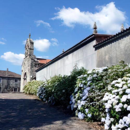 Iglesia de San Xuli&aacute;n de Ventosa 3