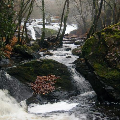 Torrentes de Ramil 1