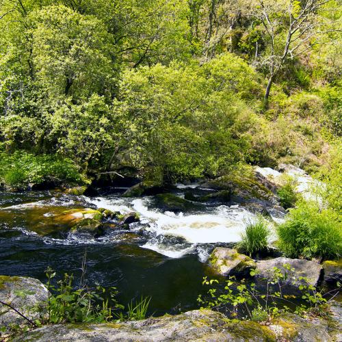 Torrentes de Ramil 2