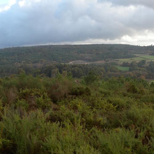 Campo do Xastre Rock Art 0