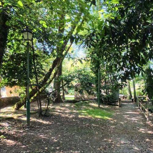 &Aacute;rea recreativa de A Carixa 12