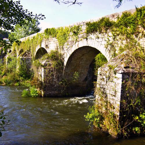 Ponte Ledesma 1