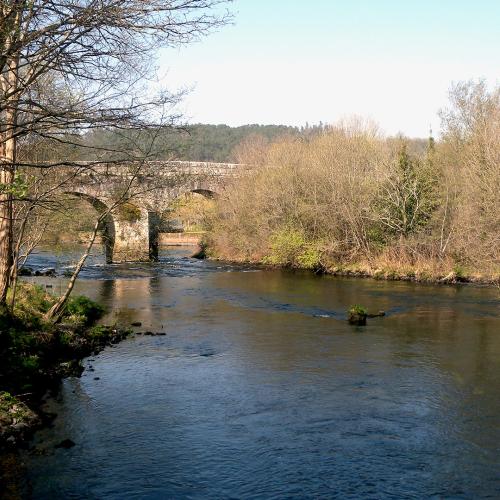Ponte Ledesma 2