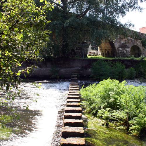 Ponte Ledesma 3