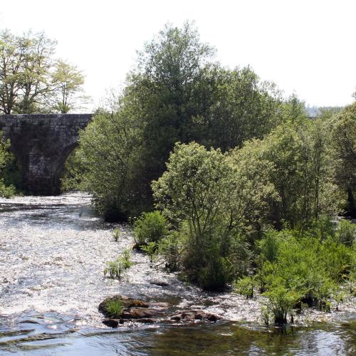 Ponte Ledesma 4