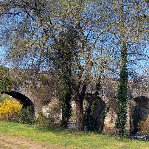 Ponte Ledesma 0