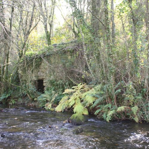 Molinos da Eirexe 3