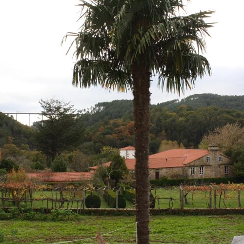 Pazo da Torre 4