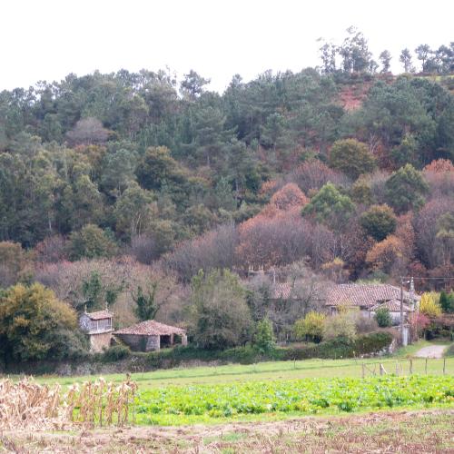 Pazo de Altamira 2