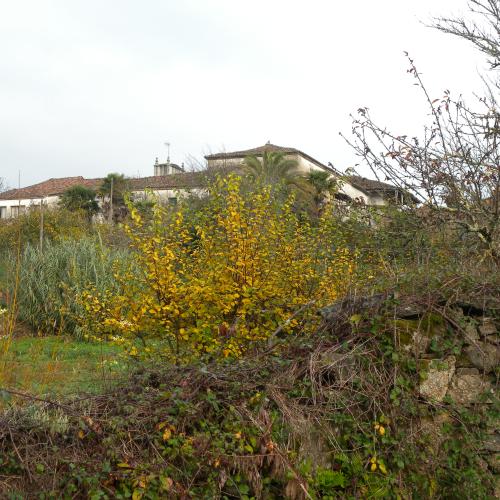 Pazo de Ra&iacute;ndo 2