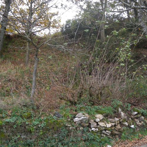 Castro de Doz&oacute;n 3