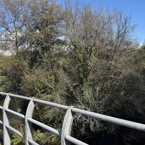 Puente de Sarand&oacute;n 5
