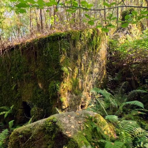 Fervenza de As Quintas 5
