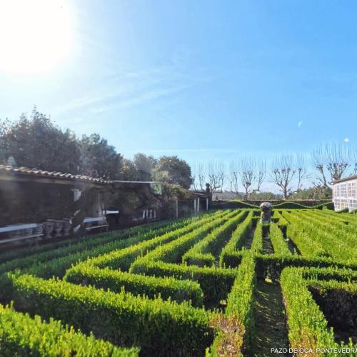 Pazo de Oca 56