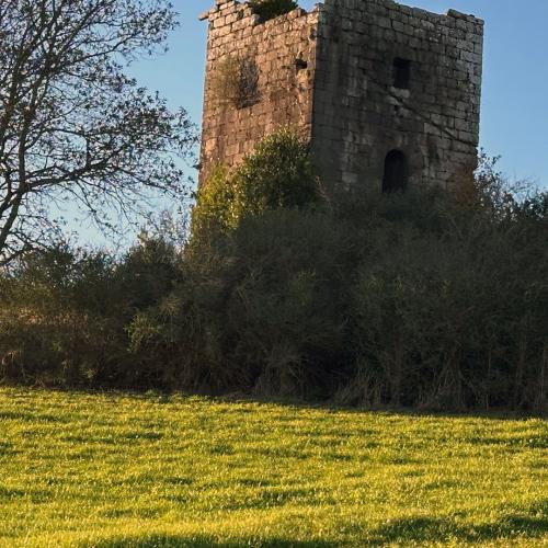 Torre y pazo de Guimarei 5
