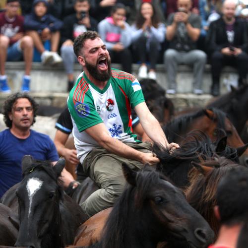 Rapa das Bestas de Sabucedo 14