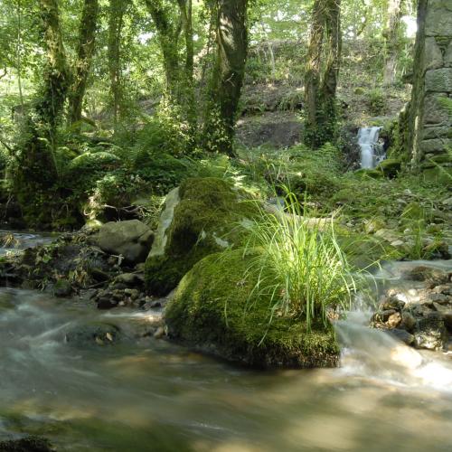 Sierra de Mestre y molinos de Vesacarballa 3