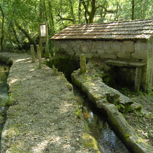 Sierra de Mestre y molinos de Vesacarballa 20
