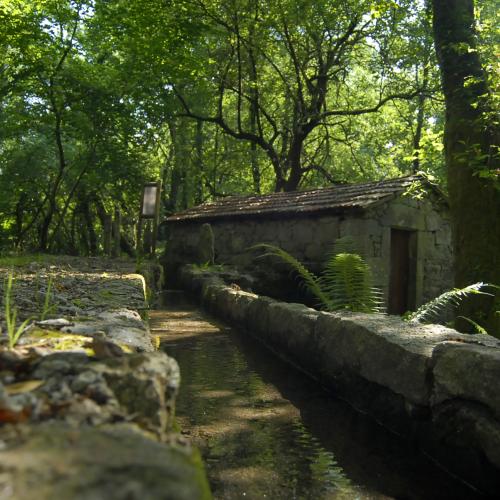 Sierra de Mestre y molinos de Vesacarballa 21