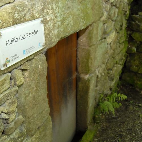 Sierra de Mestre y molinos de Vesacarballa 22