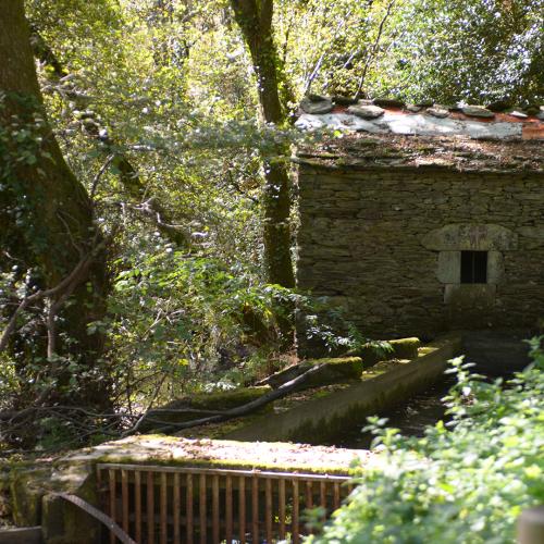 &Aacute;rea recreativa de A Freixeira 1