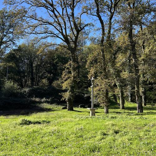 &Aacute;rea recreativa de A Freixeira 2