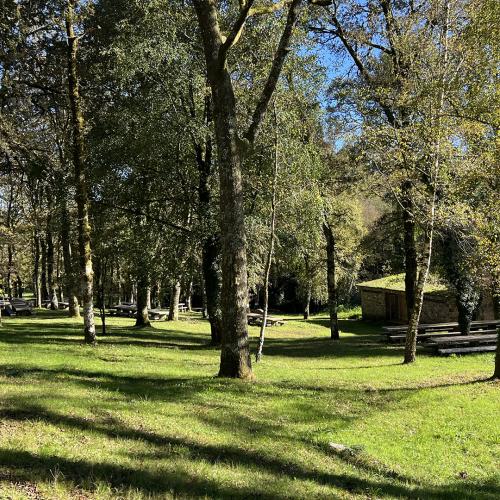 &Aacute;rea recreativa de A Freixeira 0