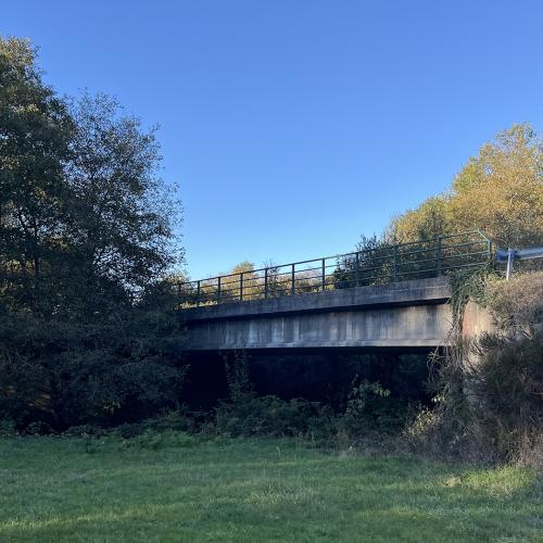 Ponte de San Amaro Bridge 1
